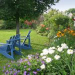 texte alternatif de li'mage